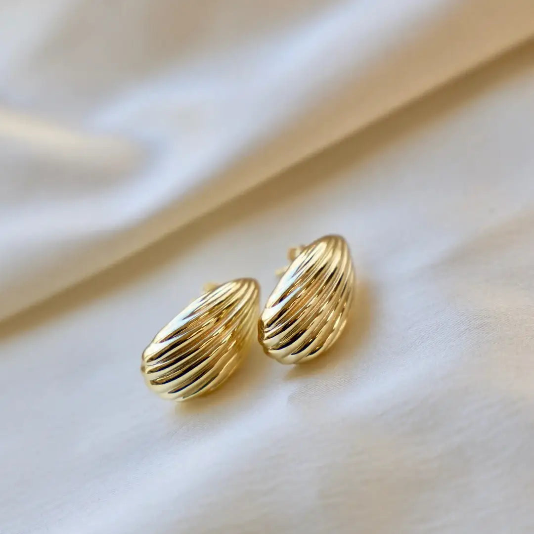Seashell stud earrings discount