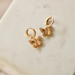 The Lilah Butterfly Earrings Gold CZ